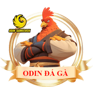 da-ga-odin-mm99