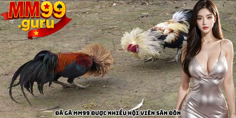 da-ga-mm99-duoc-nhieu-hoi-vien-vo-cung-yeu-thich