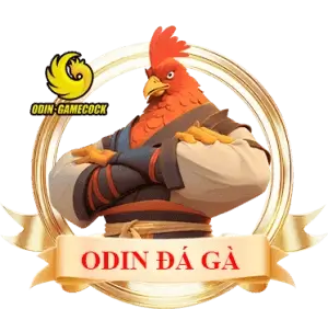 da-ga-odin-mm99